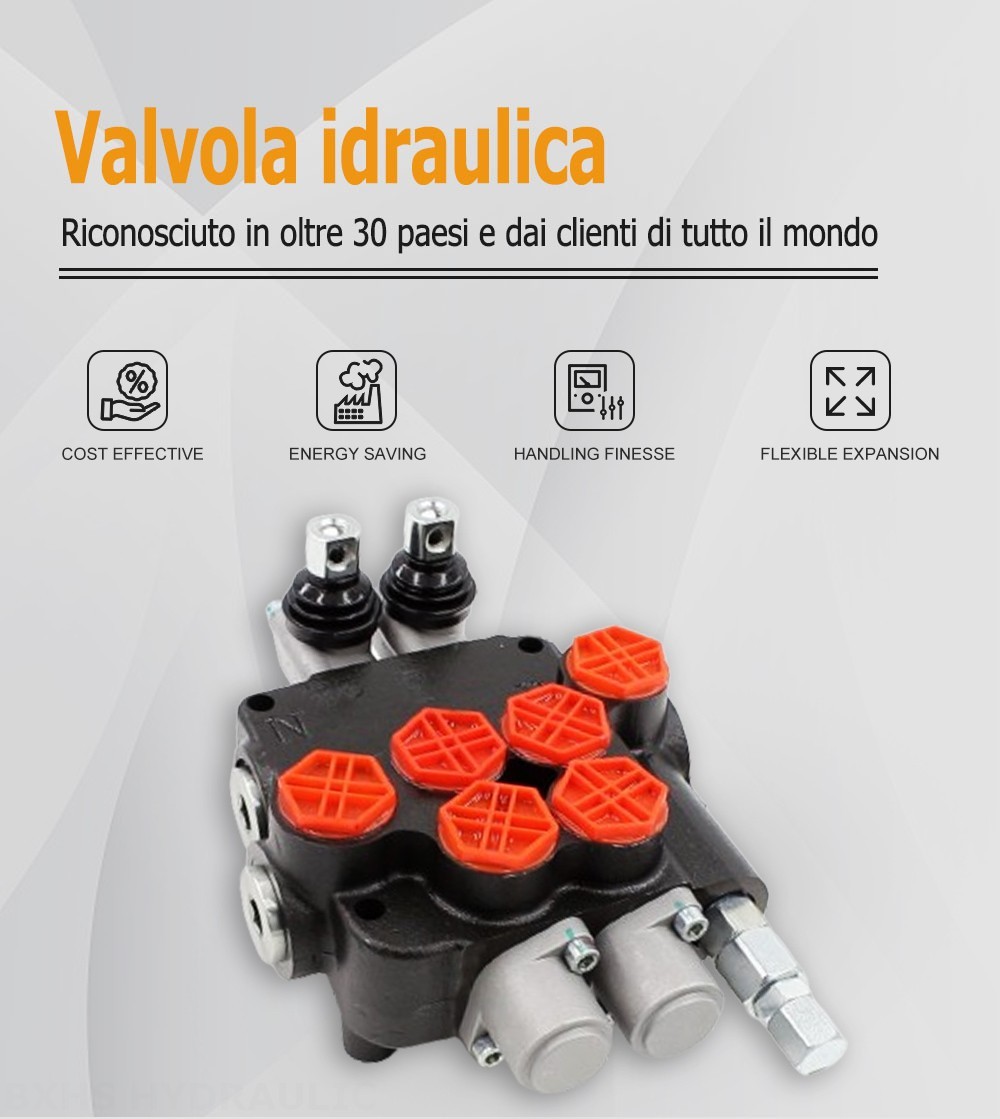 P80-G34-2OT Manuale 2 Spool Valvola direzionale monoblocco