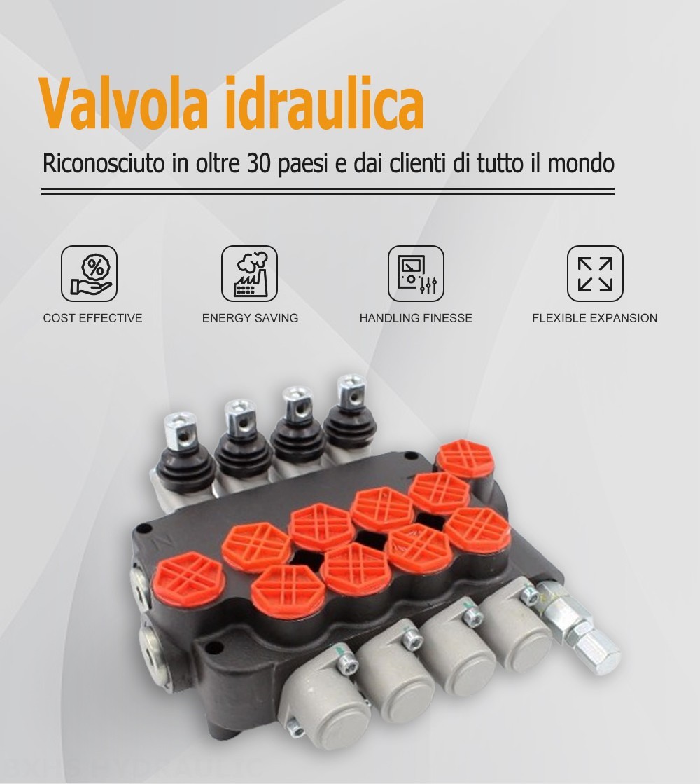 P80-G34-4OT Manuale 4 Spool Valvola direzionale monoblocco