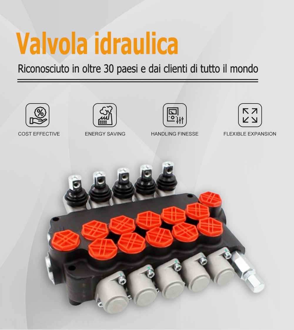 P80-G34-5OT Manuale 5 Spool Valvola direzionale monoblocco