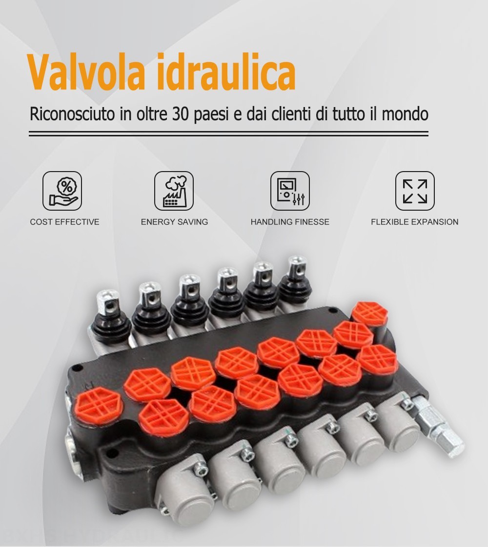 P80-G34-6OT Manuale 6 Spool Valvola direzionale monoblocco