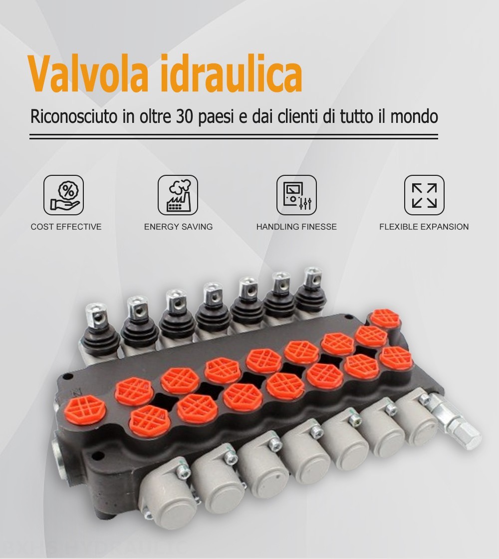 P80-G34-7OT Manuale 7 Spool Valvola direzionale monoblocco