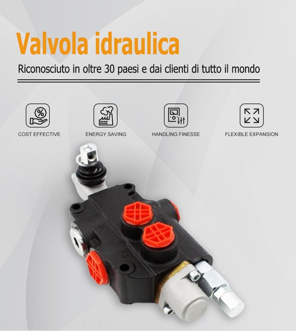 P80-G34-G12-1OT Manuale 1 Spool Valvola direzionale monoblocco