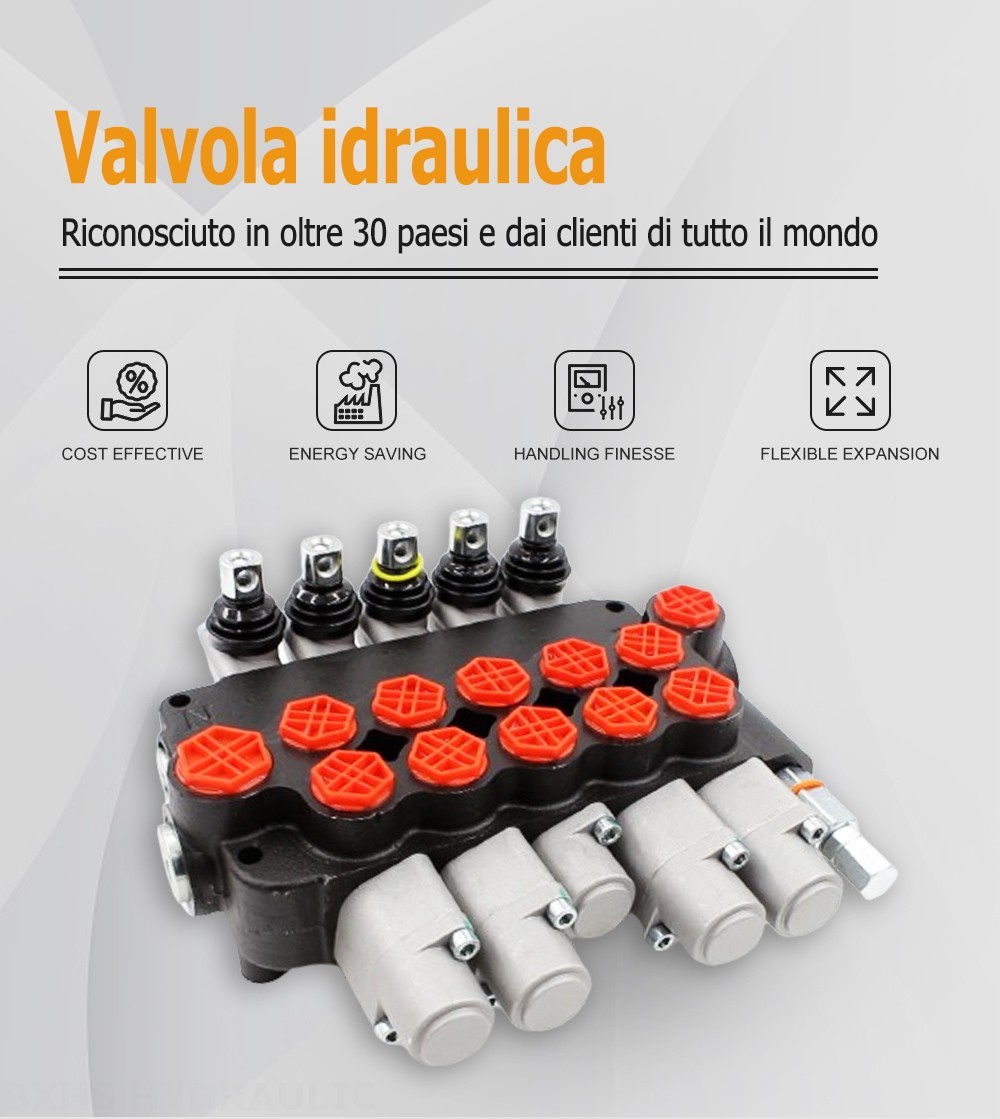 P80-G34-G12-2OT-YW-2OT Manuale 5 Spool Valvola direzionale monoblocco