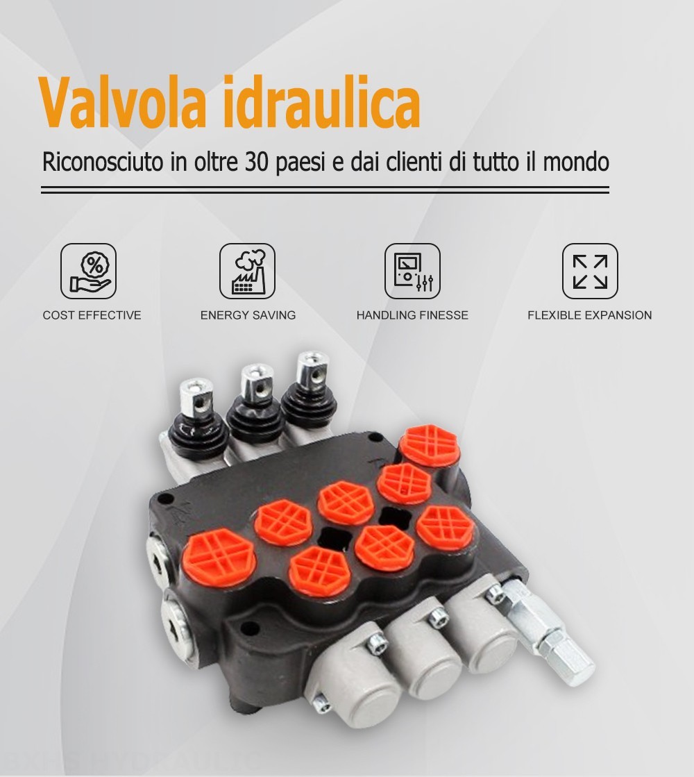 P80-G34-G12-3OT Manuale 3 Spool Valvola direzionale monoblocco