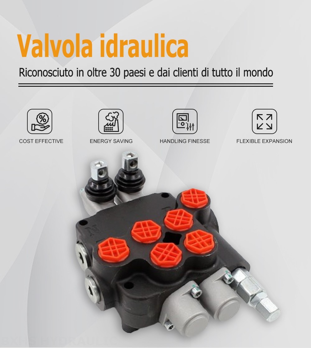 P80-G34-G12 Manuale 2 Spool Valvola direzionale monoblocco