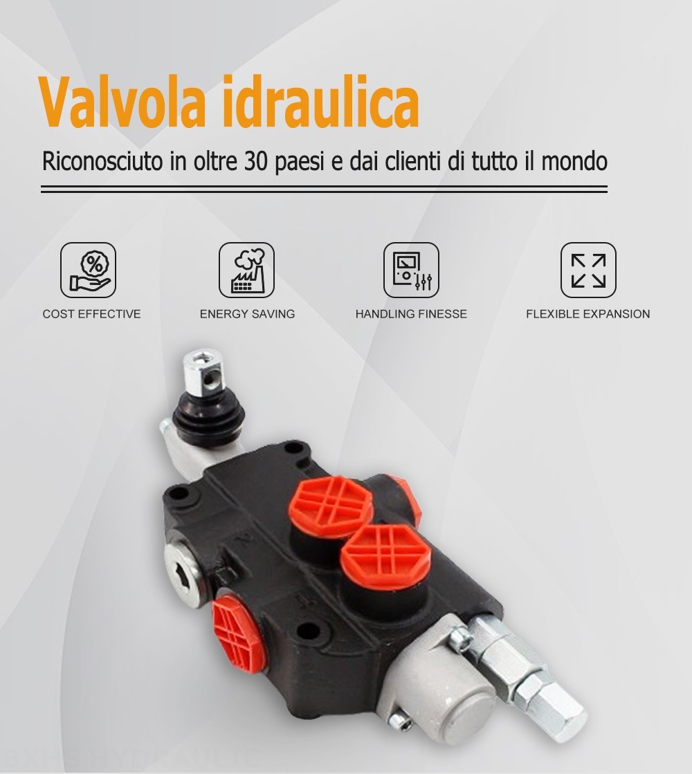 P80-G34-OT Manuale 1 Spool Valvola direzionale monoblocco