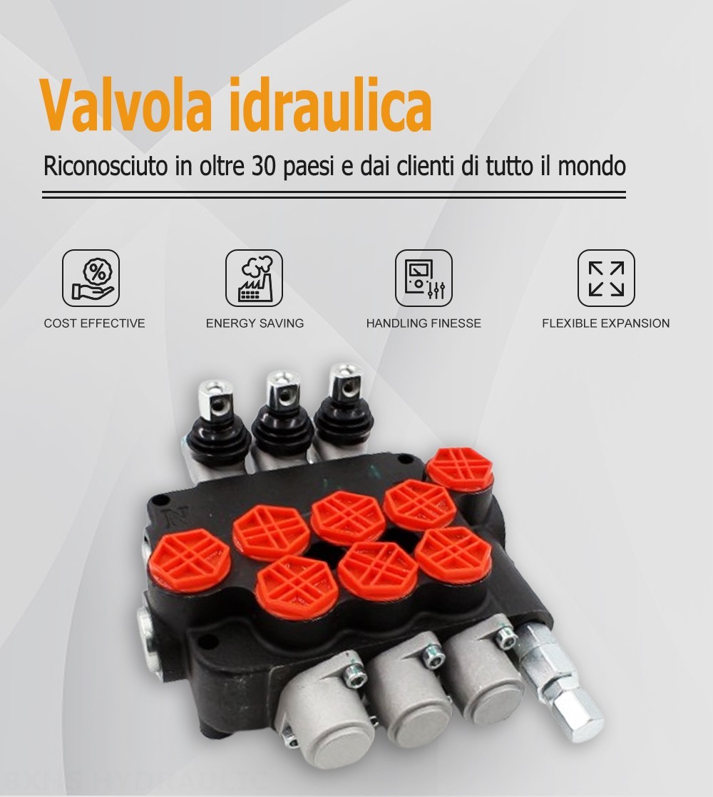 P80-G34-OT Manuale 3 Spool Valvola direzionale monoblocco