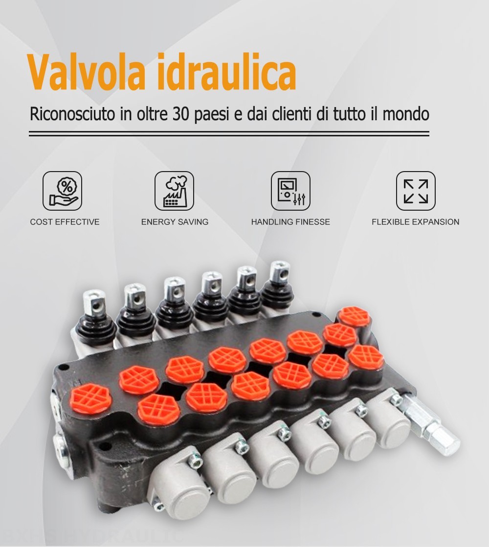 P80-G34-OT Manuale 6 Spool Valvola direzionale monoblocco