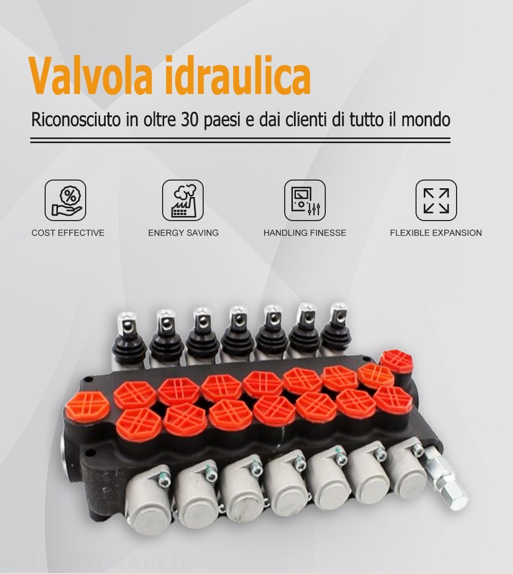 P80-G34-OT Manuale 7 Spool Valvola direzionale monoblocco