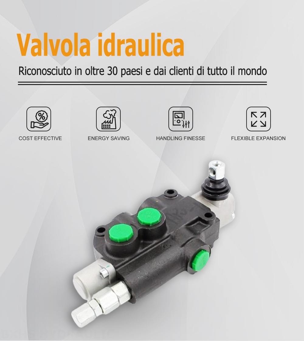 P80-LDG-U78-OT Manuale 1 Spool Valvola direzionale monoblocco