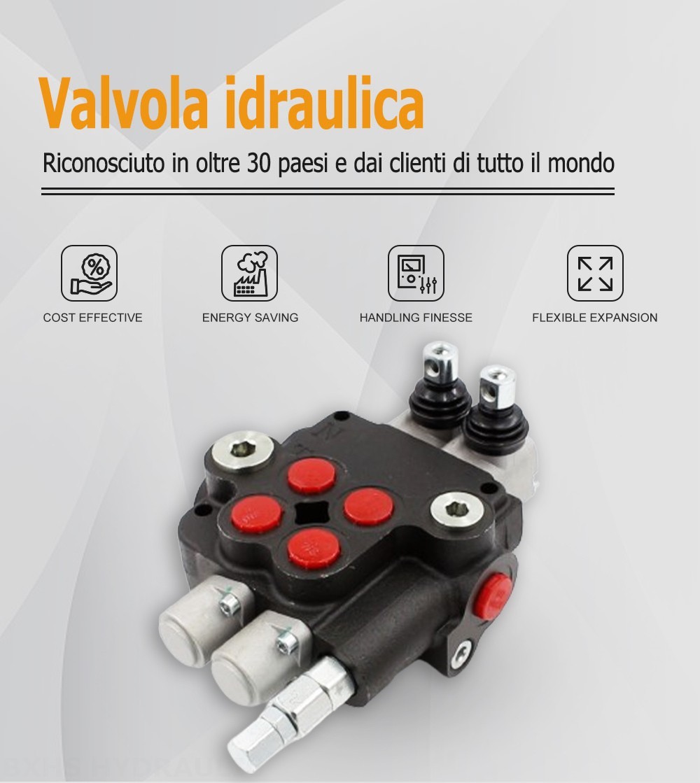 P80-U116-U78-2OT Manuale 2 Spool Valvola direzionale monoblocco