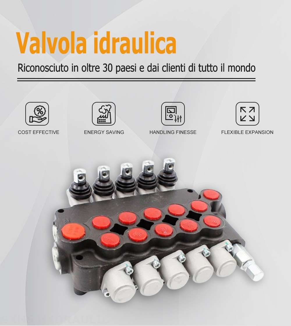 P80-U116-U78-5OT Manuale 5 Spool Valvola direzionale monoblocco