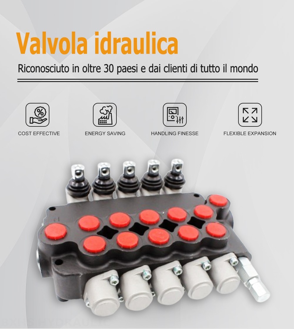 P80-U116-U78-OT Manuale 5 Spool Valvola direzionale monoblocco