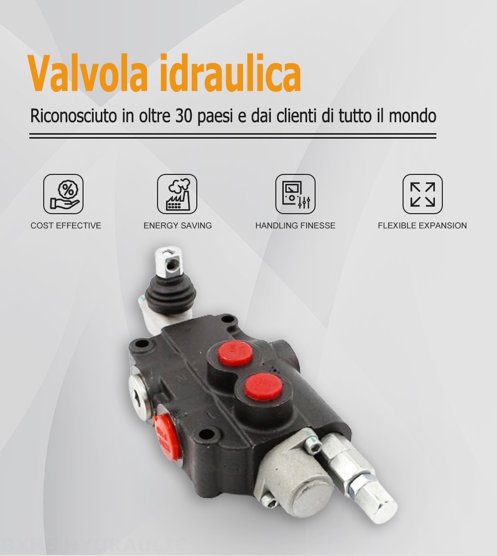 P80-U116-U78 Manuale 1 Spool Valvola direzionale monoblocco