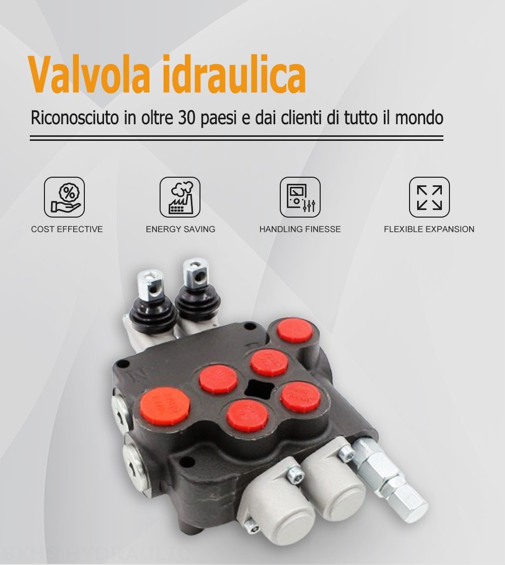 P80-U116-U78 Manuale 2 Spool Valvola direzionale monoblocco