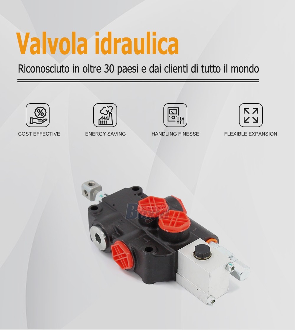 P80A-OX 1 Spool Monoblock Directional Valve for Heavy Machinery