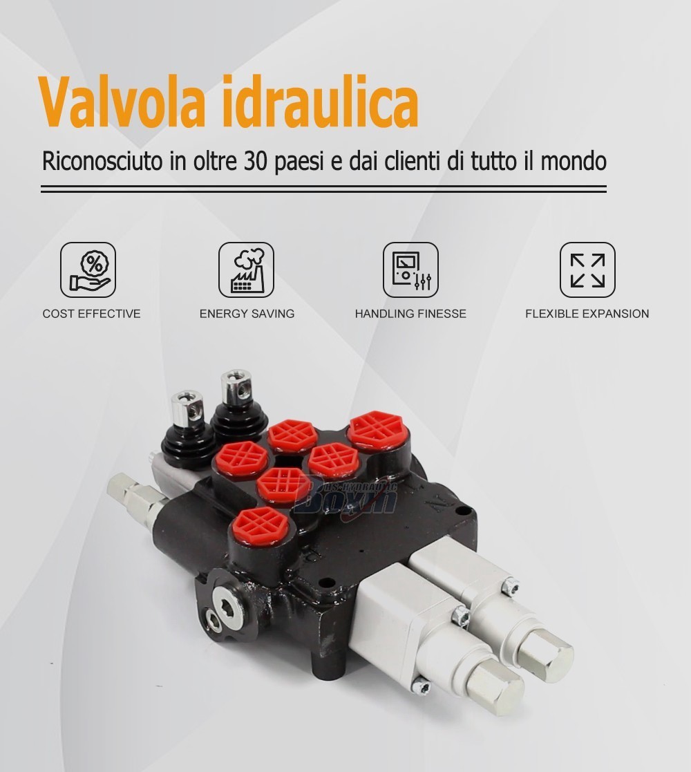 High Performance P80AFT-2QTW1 Monoblock Valve 2 Spool Control Valve