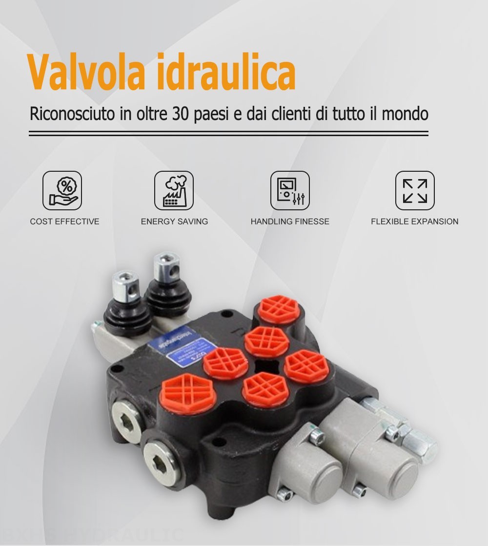 P80A Manuale 2 Spool Valvola direzionale monoblocco