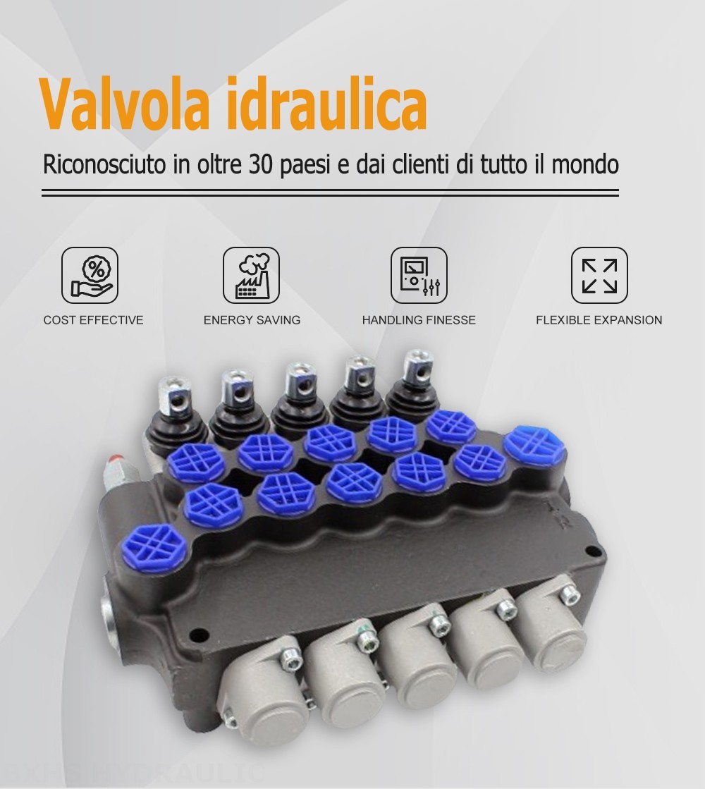 P80F-G34-OT Manuale 5 Spool Valvola direzionale monoblocco