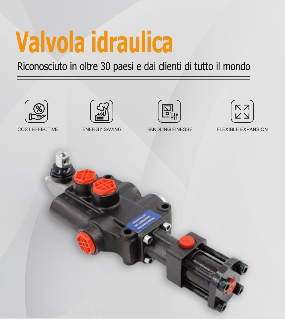 P80F-G34 Idraulico 1 Spool Valvola direzionale monoblocco