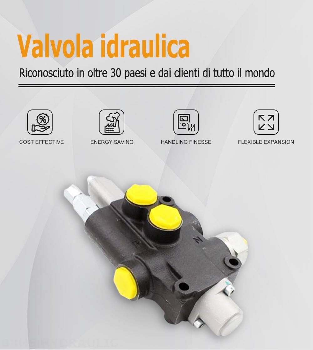 P80J Manuale 1 Spool Valvola direzionale monoblocco