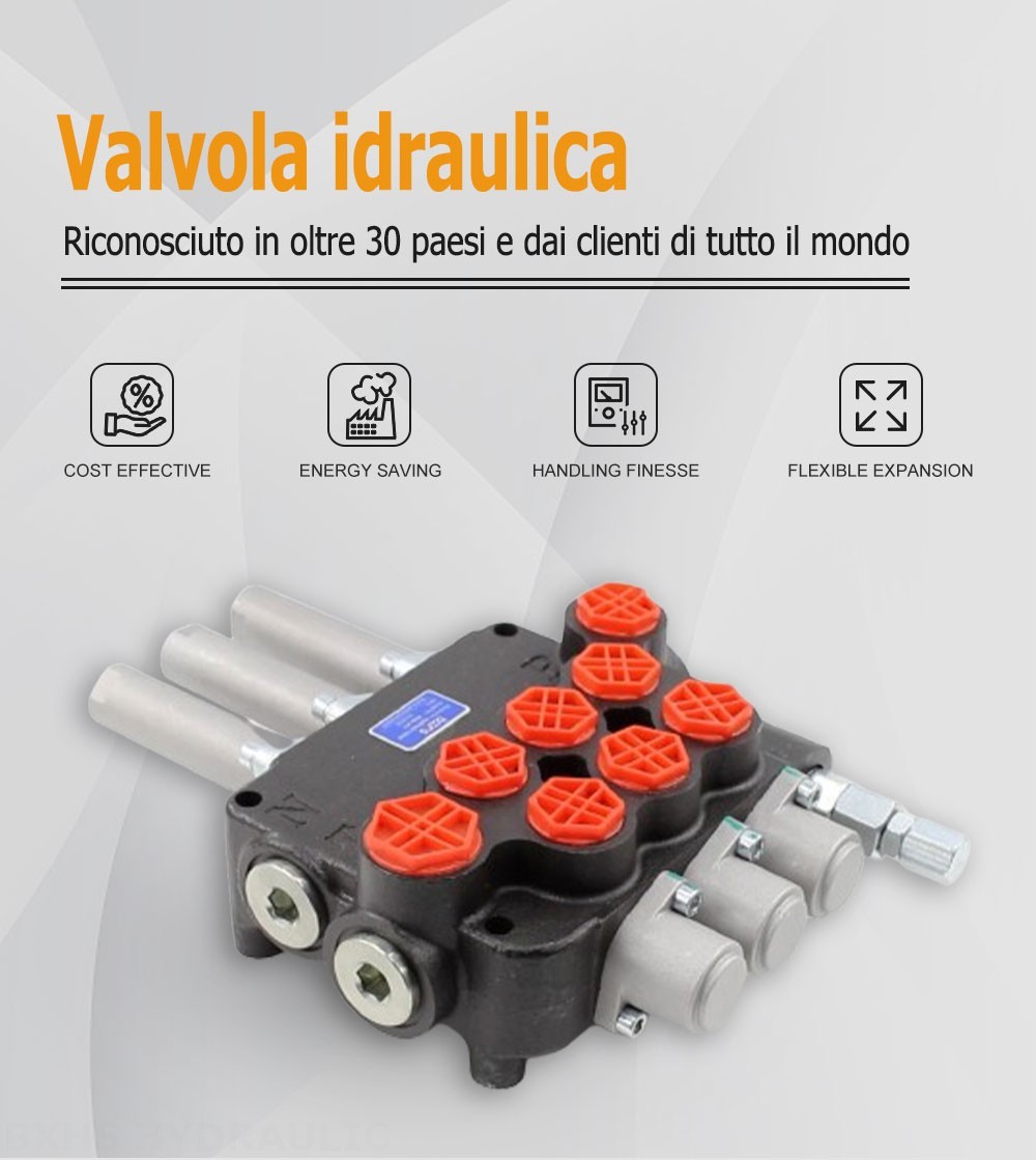 P80 Cavo 3 Spool Valvola direzionale monoblocco