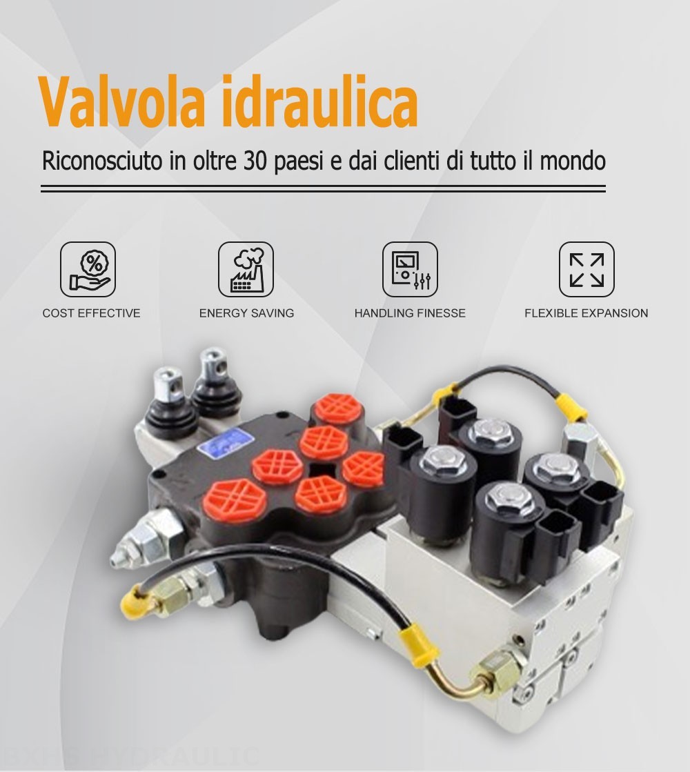 P80 Elettroidraulico 2 Spool Valvola direzionale monoblocco