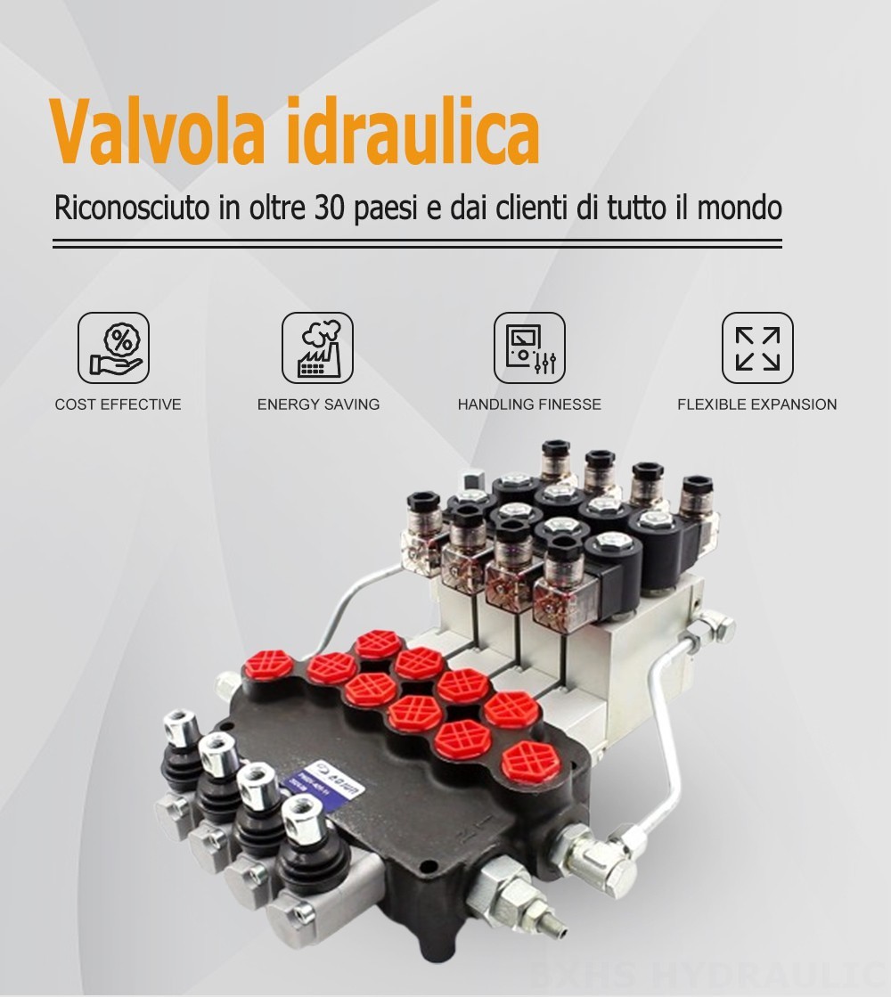 P80 Elettroidraulico 4 Spool Valvola direzionale monoblocco
