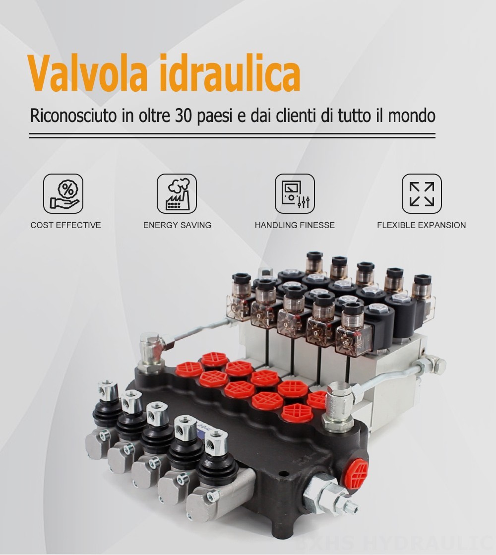 P80 Elettroidraulico 5 Spool Valvola direzionale monoblocco