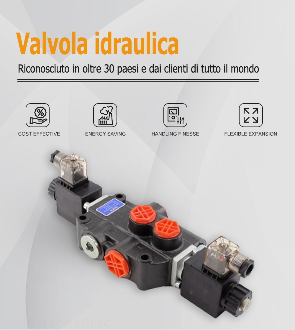 P80 Solenoide 1 Spool Valvola direzionale monoblocco