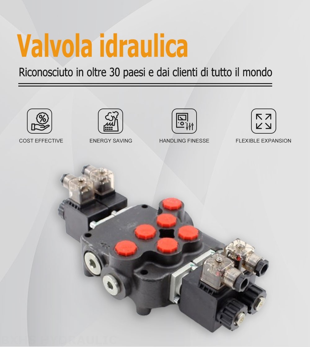 P80 Solenoide 2 Spool Valvola direzionale monoblocco