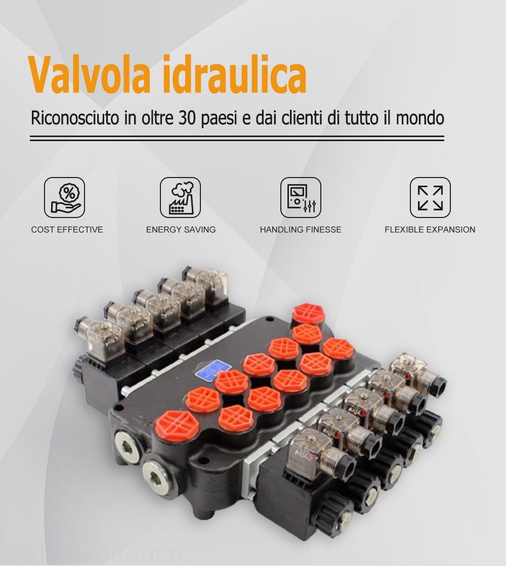 P80 Solenoide 5 Spool Valvola direzionale monoblocco