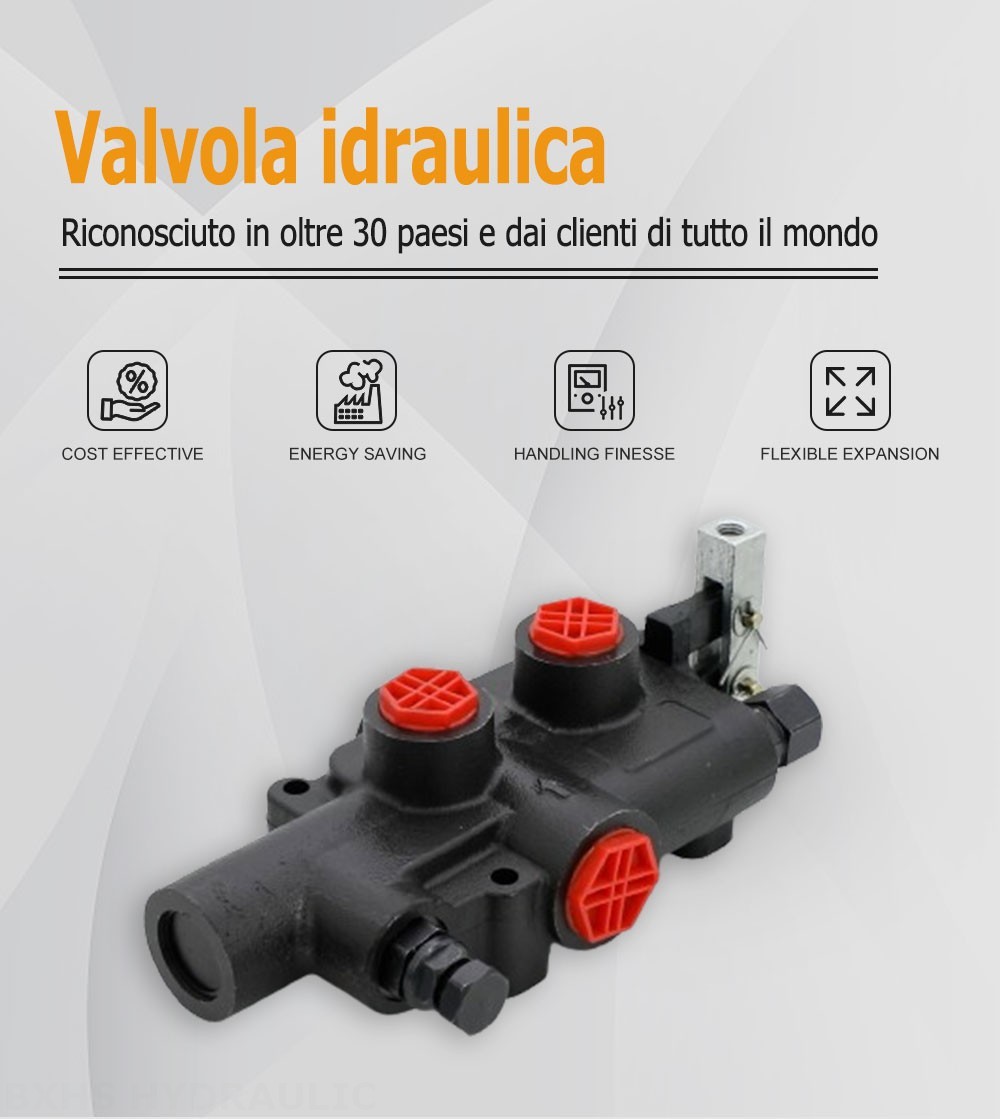 P81 Manuale 1 Spool Valvola divisore tronchi