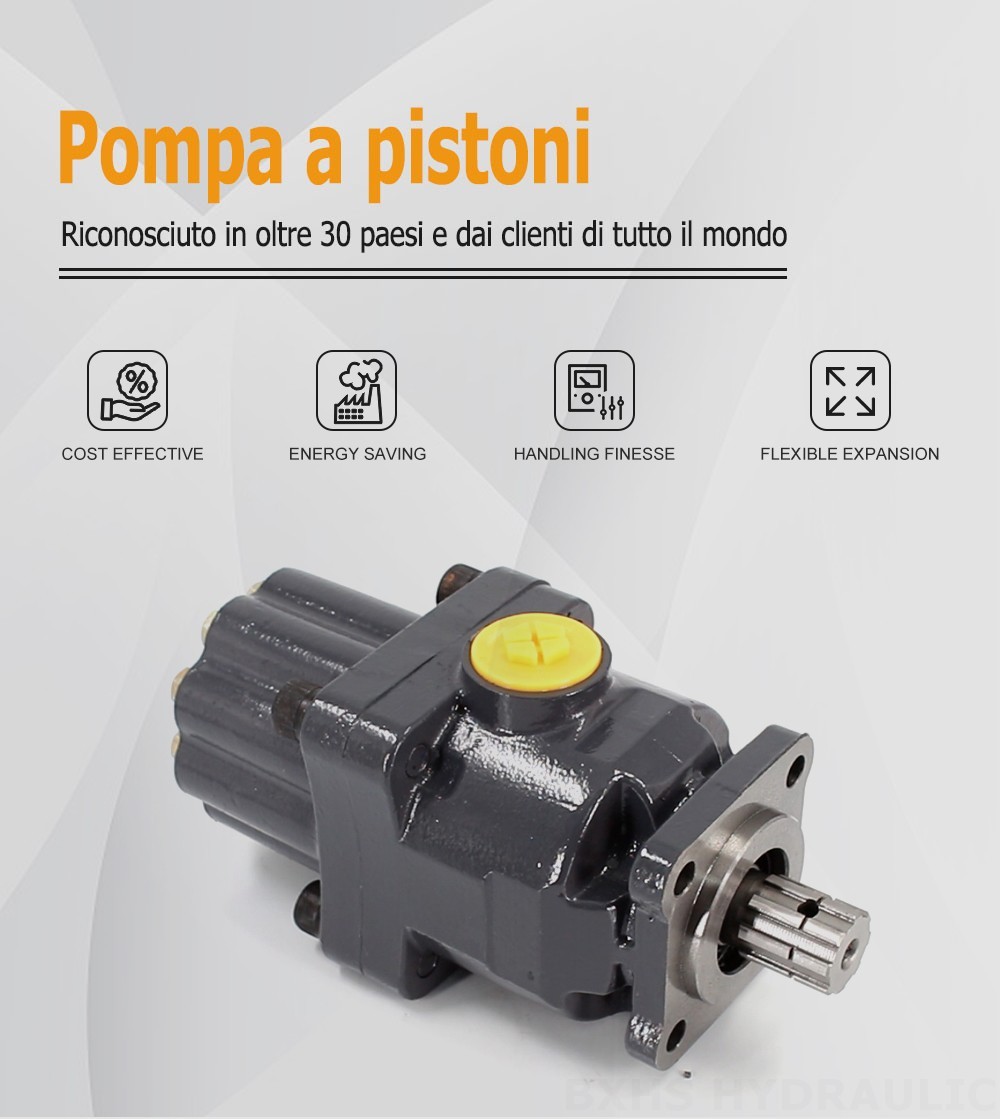 P9-80-H 80 cc/rev 20 MPa (2900 psi) Pompa a pistoni idraulica