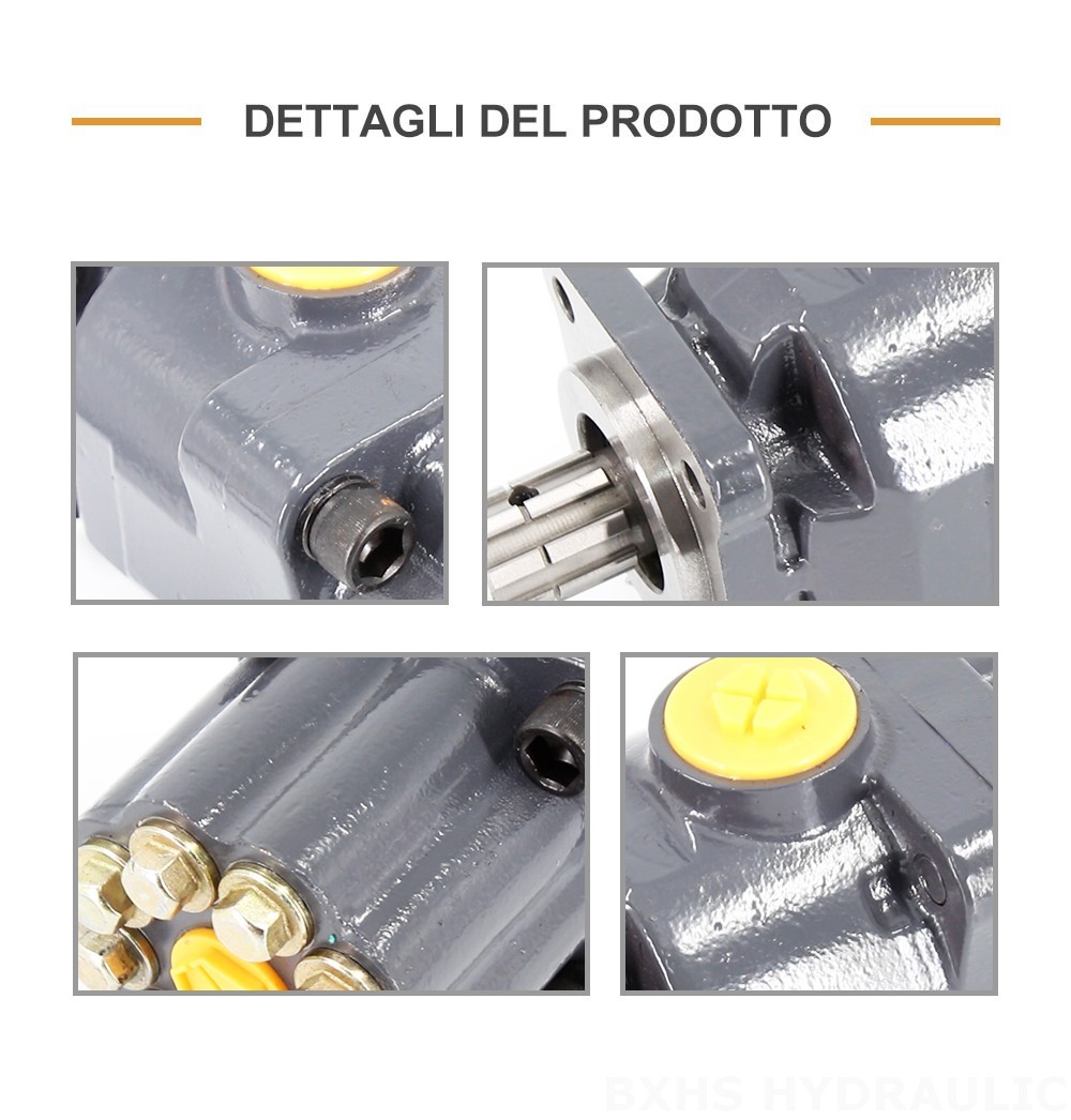 P9-80-H 80 cc/rev 20 MPa (2900 psi) Pompa a pistoni idraulica