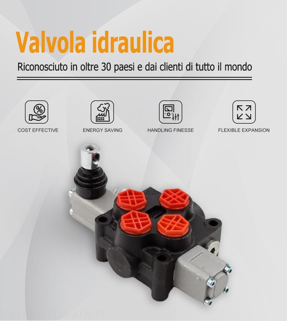 Q45 Manuale 1 Spool Valvola direzionale monoblocco