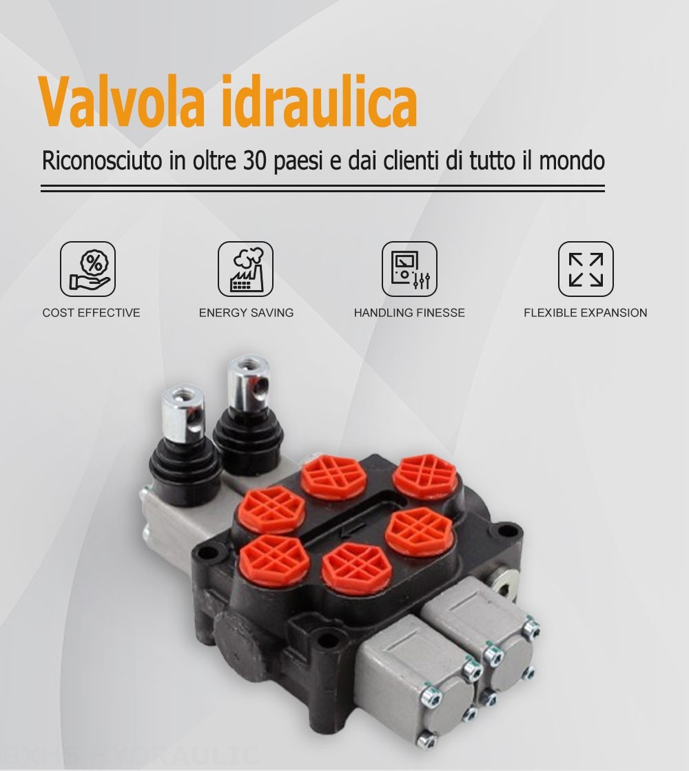 Q45 Manuale 2 Spool Valvola direzionale monoblocco