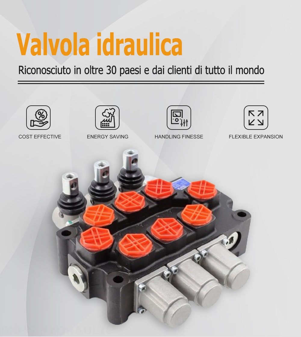 Q95 Manuale 3 Spool Valvola direzionale monoblocco