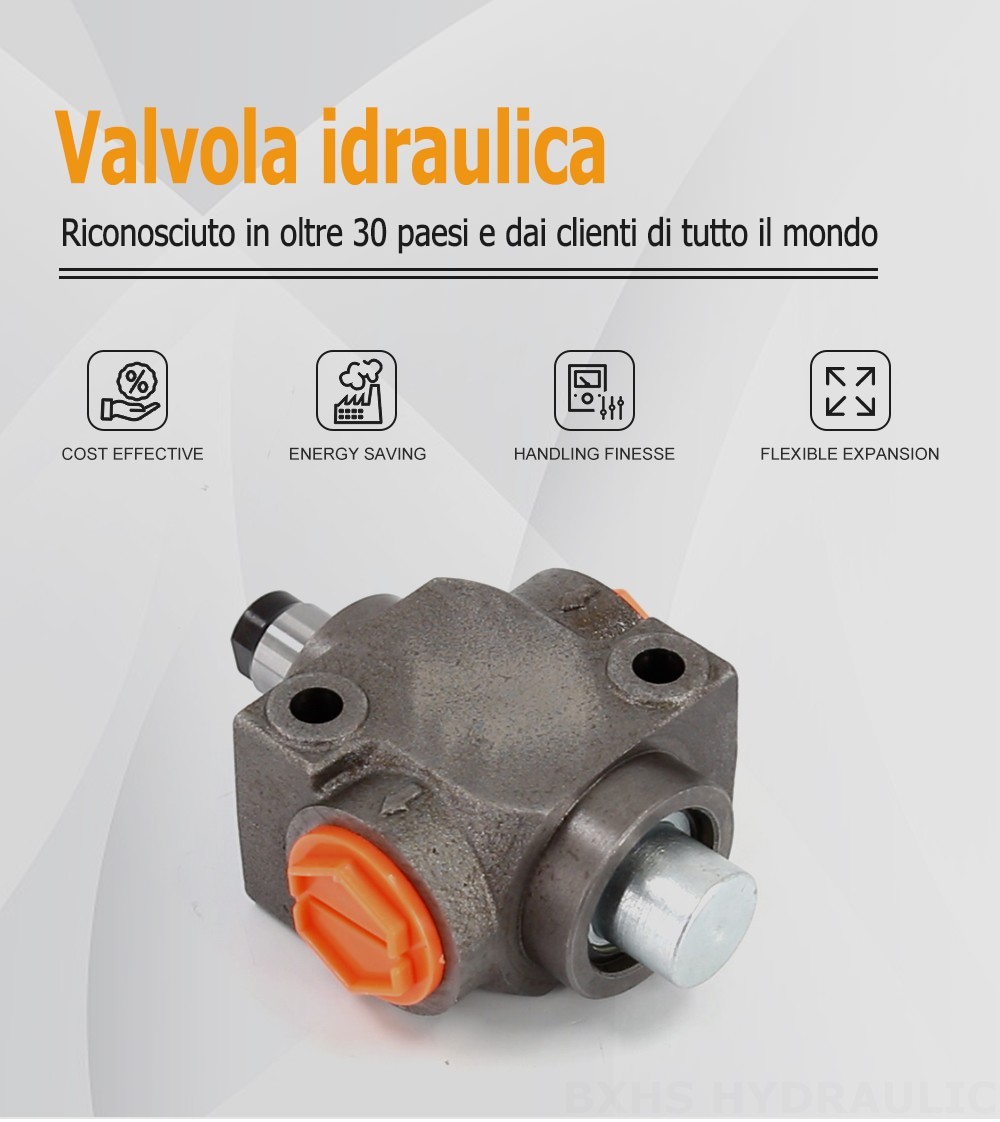QHF20A Manuale 1 Spool Valvola direzionale monoblocco