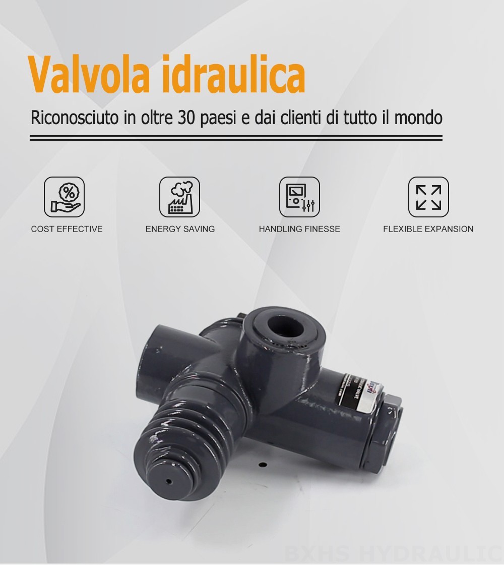 QHF20  Manuale 1 Spool Valvola direzionale monoblocco