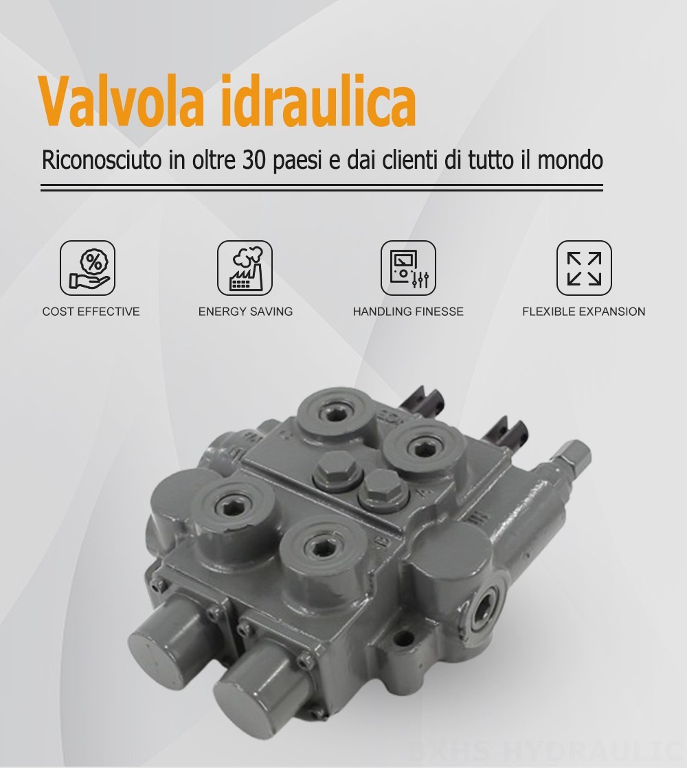 RD5200-H Manuale 2 Spool Valvola di Controllo Idraulica