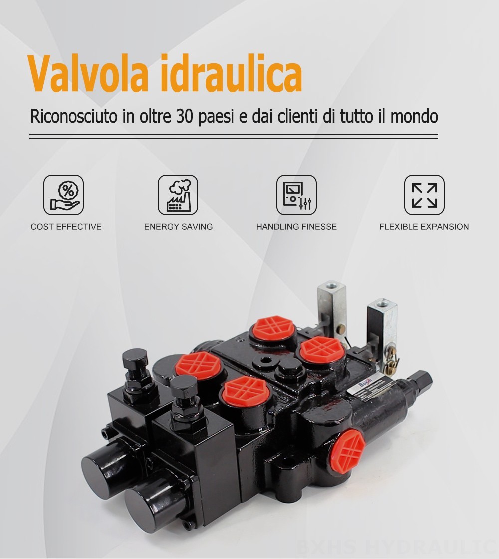 RD5200-OU2 Manuale 2 Spool Valvola di Controllo Idraulica