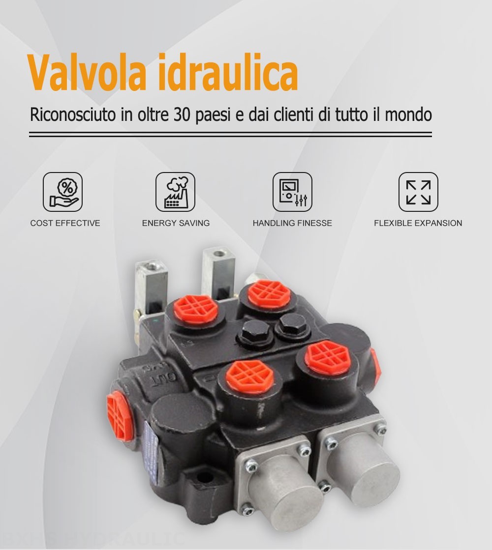 RD5200 Manuale 2 Spool Valvola di controllo idraulica