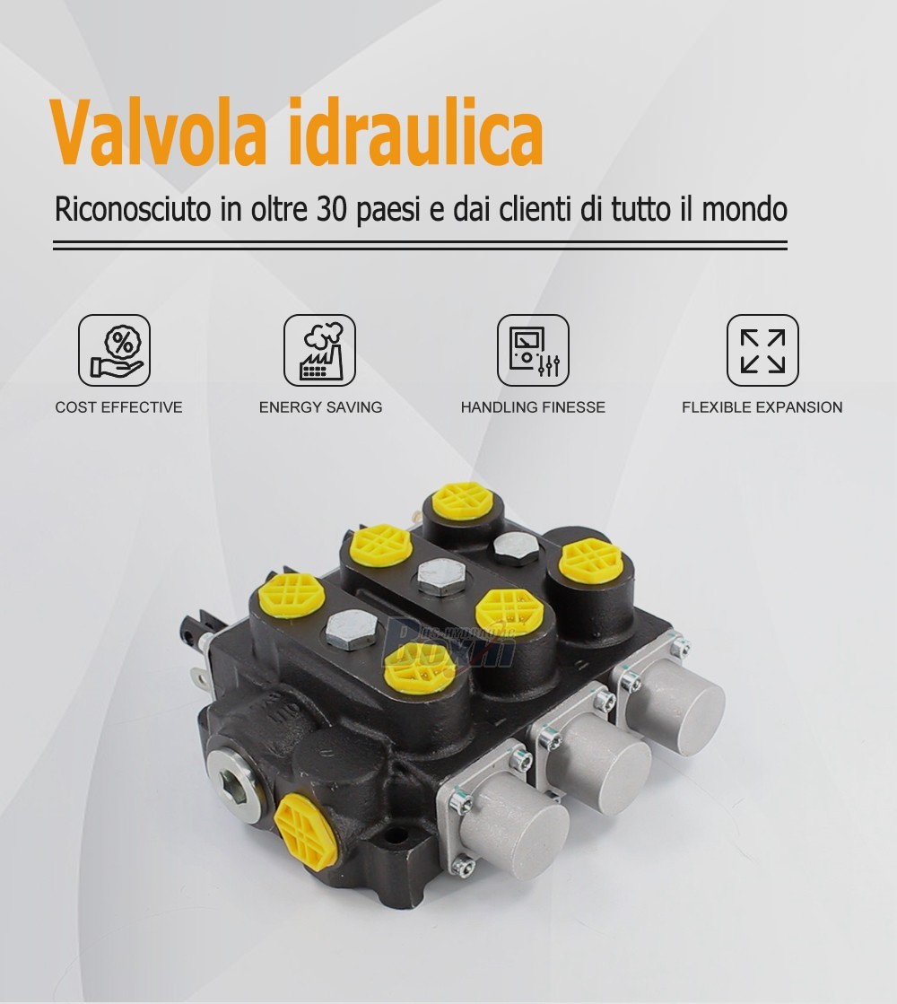 Factory Source RD5300NPT-3OT 3 Spool Manual Hydraulic Valve for Global Market
