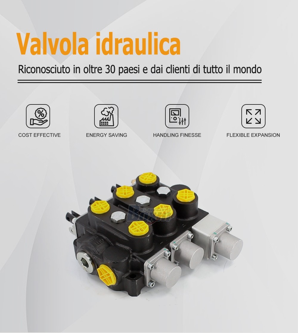 Strategic Partnership Opportunity for RD5300NPT-QTW-2OT Hydraulic Valve Distribution