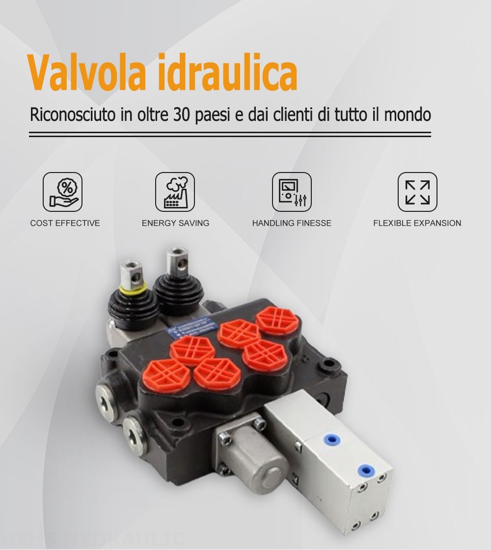 SD11 Manuale 1 Spool Valvola direzionale monoblocco