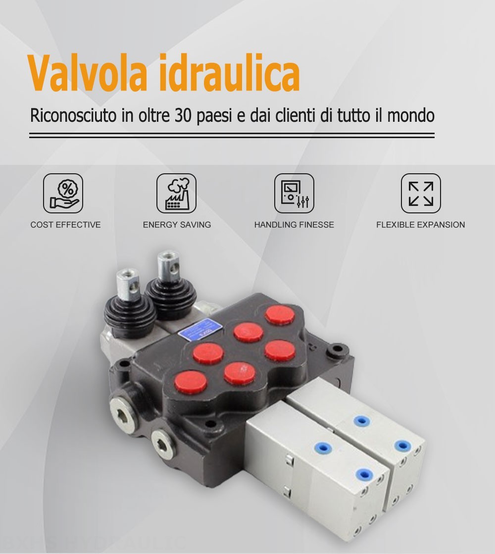 SD11 Pneumatico 2 Spool Valvola direzionale monoblocco