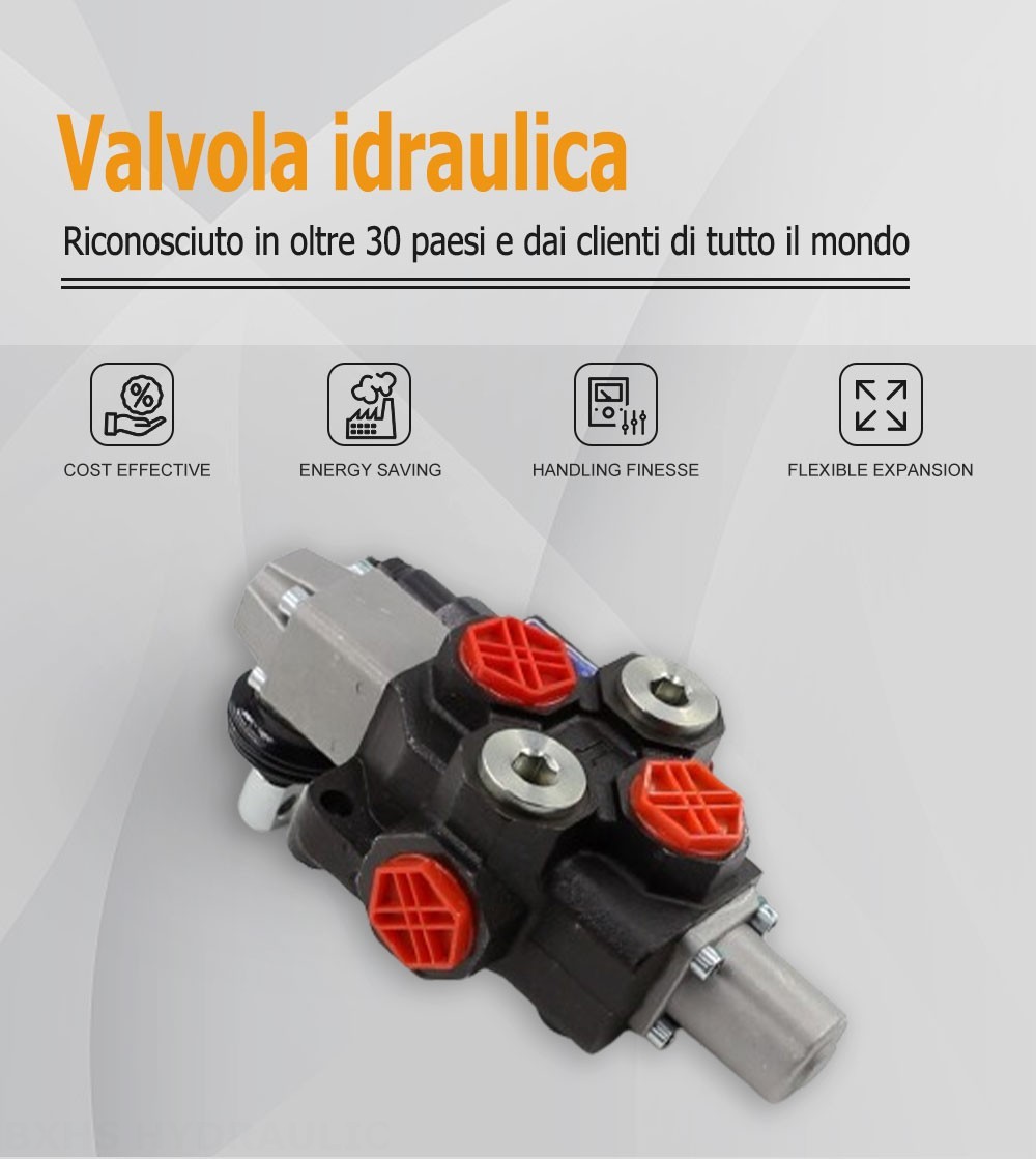 SD14 Manuale 1 Spool Valvola direzionale monoblocco