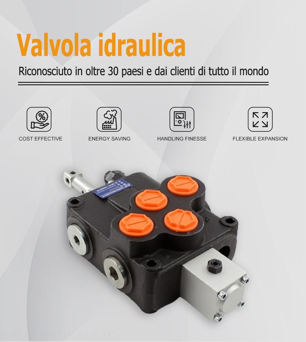 SD18 Manuale 1 Spool Valvola direzionale monoblocco