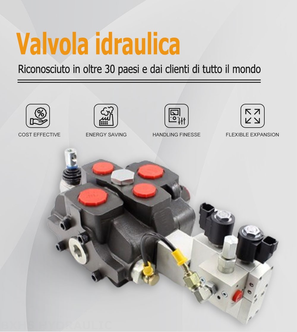 SD25 Elettroidraulico 1 Spool Valvola direzionale sezionale